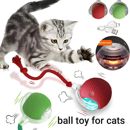 Smart Play Ball for Cats