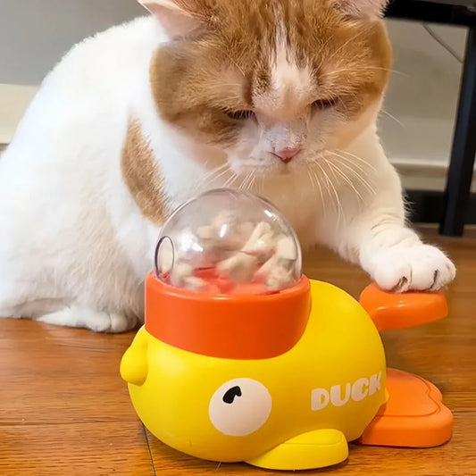 Little Yellow Duck Feeder Fun